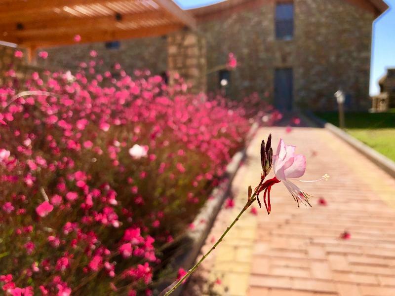 Estrella Villas Лардос Экстерьер фото