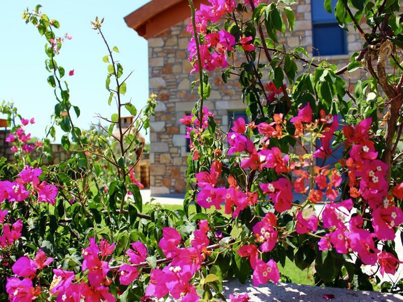 Estrella Villas Лардос Экстерьер фото