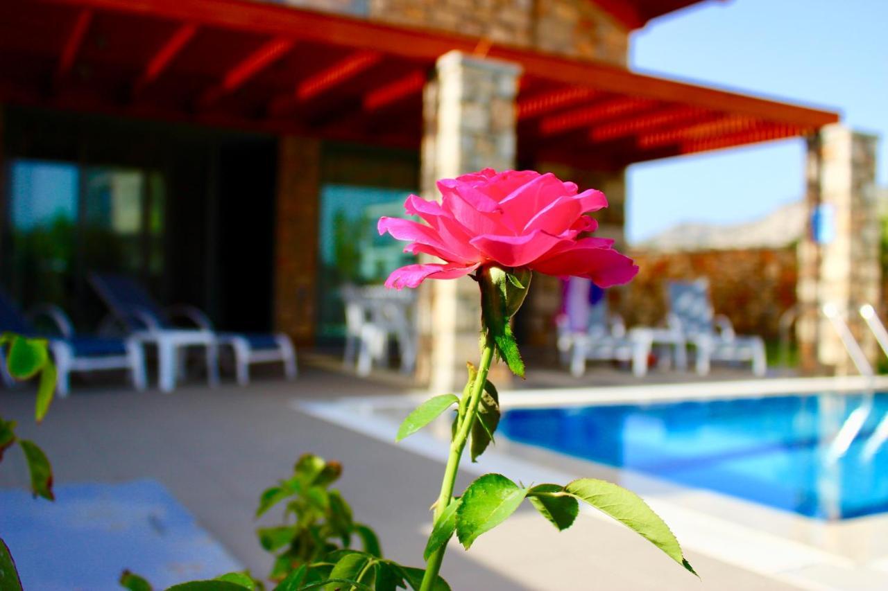 Estrella Villas Лардос Номер фото